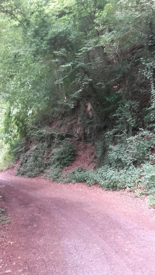 Ferienwohnungen "Am Fuerstenweg" Neuwied Exteriör bild