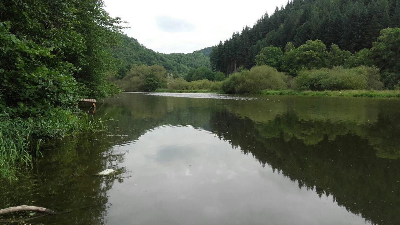 Ferienwohnungen "Am Fuerstenweg" Neuwied Exteriör bild