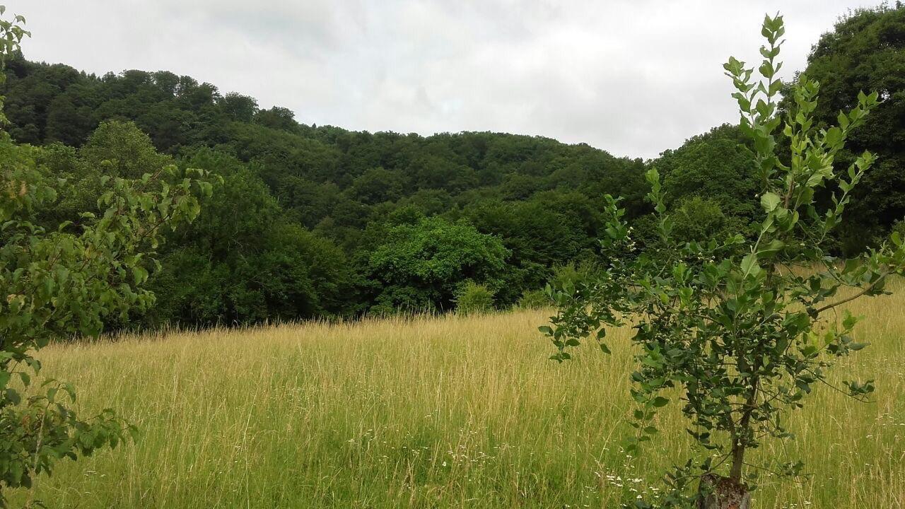Ferienwohnungen "Am Fuerstenweg" Neuwied Exteriör bild