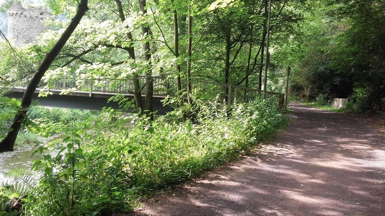 Ferienwohnungen "Am Fuerstenweg" Neuwied Exteriör bild